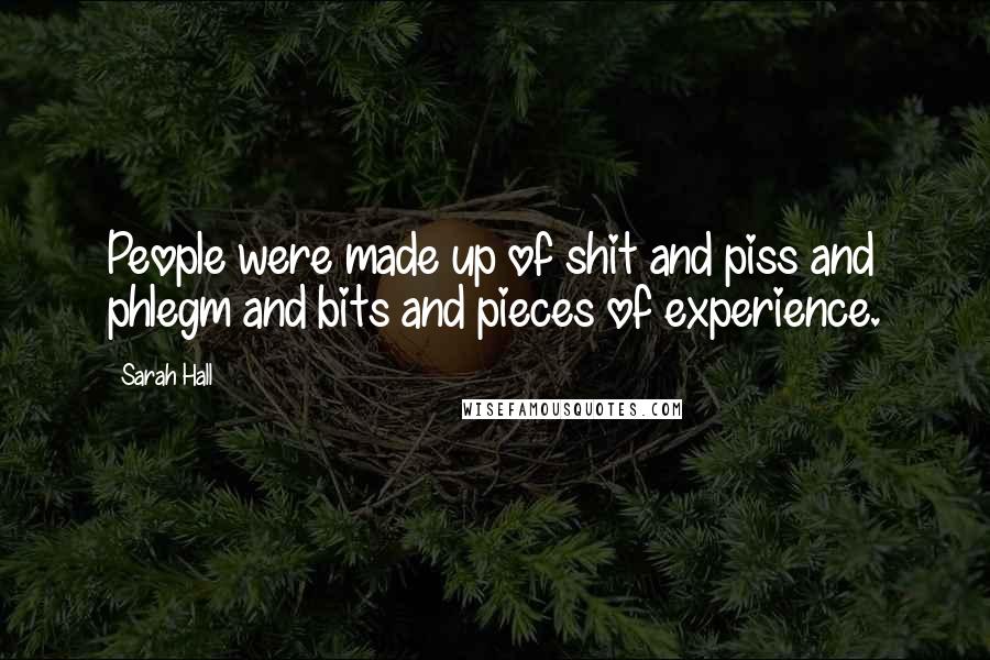 Sarah Hall Quotes: People were made up of shit and piss and phlegm and bits and pieces of experience.