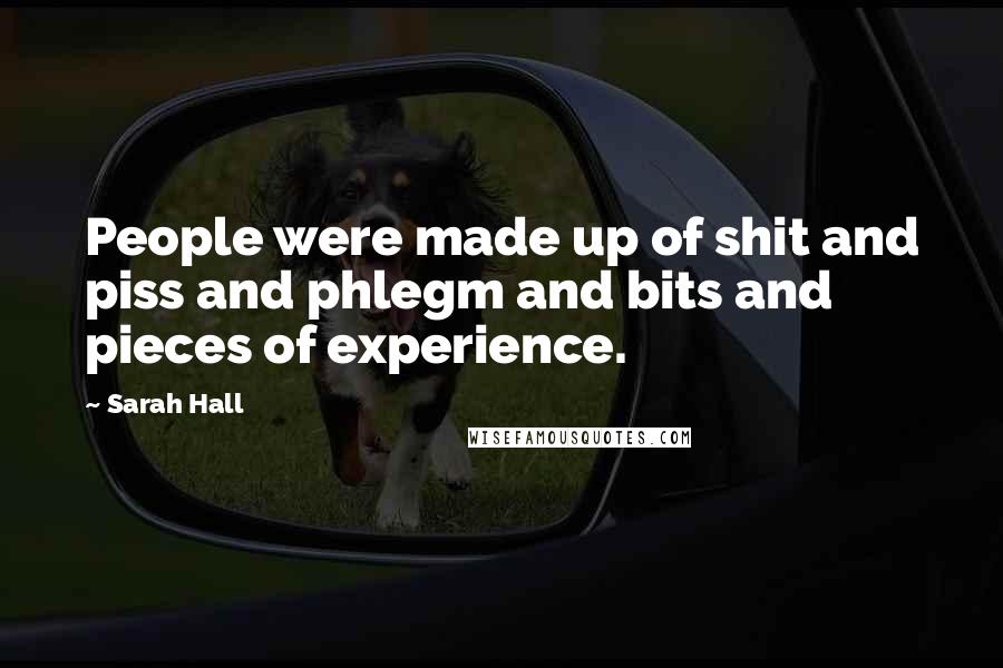 Sarah Hall Quotes: People were made up of shit and piss and phlegm and bits and pieces of experience.