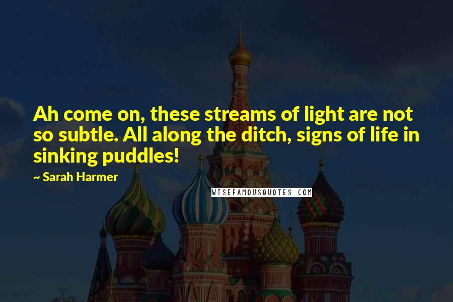 Sarah Harmer Quotes: Ah come on, these streams of light are not so subtle. All along the ditch, signs of life in sinking puddles!