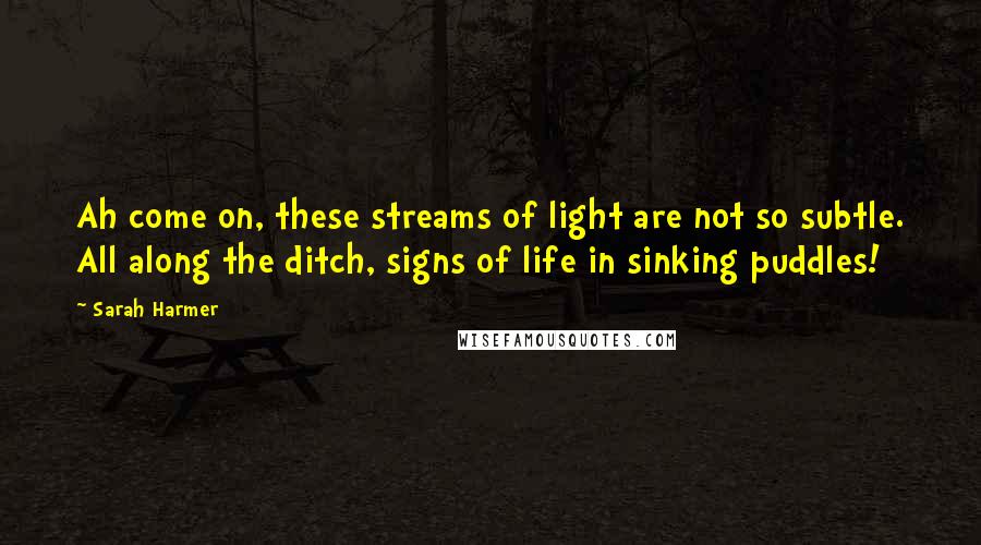 Sarah Harmer Quotes: Ah come on, these streams of light are not so subtle. All along the ditch, signs of life in sinking puddles!