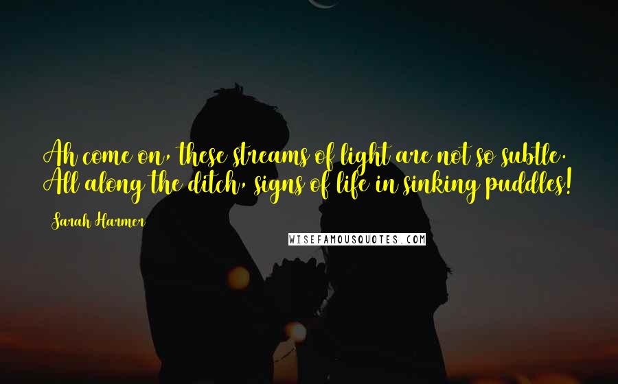 Sarah Harmer Quotes: Ah come on, these streams of light are not so subtle. All along the ditch, signs of life in sinking puddles!