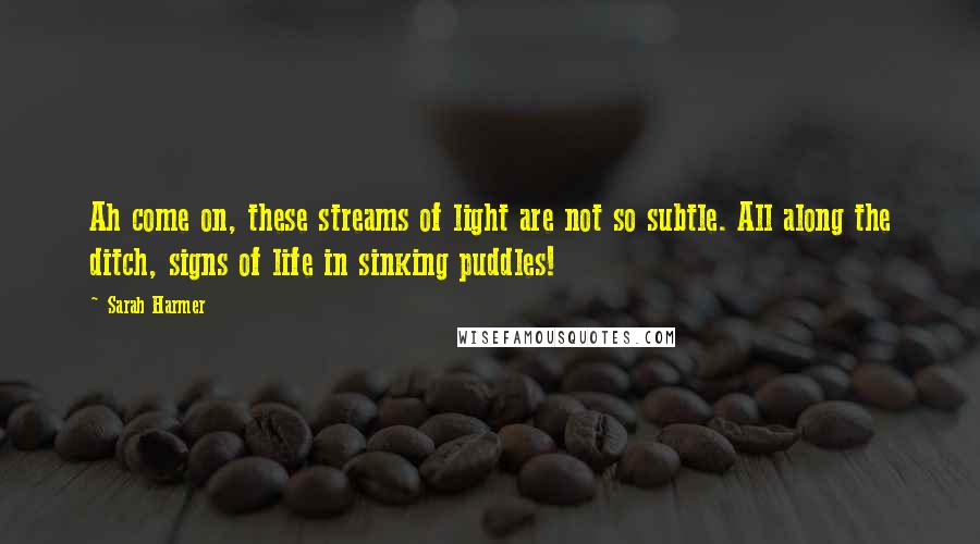 Sarah Harmer Quotes: Ah come on, these streams of light are not so subtle. All along the ditch, signs of life in sinking puddles!