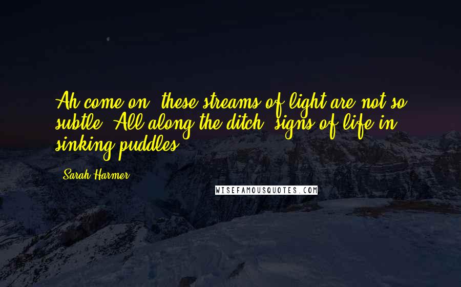 Sarah Harmer Quotes: Ah come on, these streams of light are not so subtle. All along the ditch, signs of life in sinking puddles!