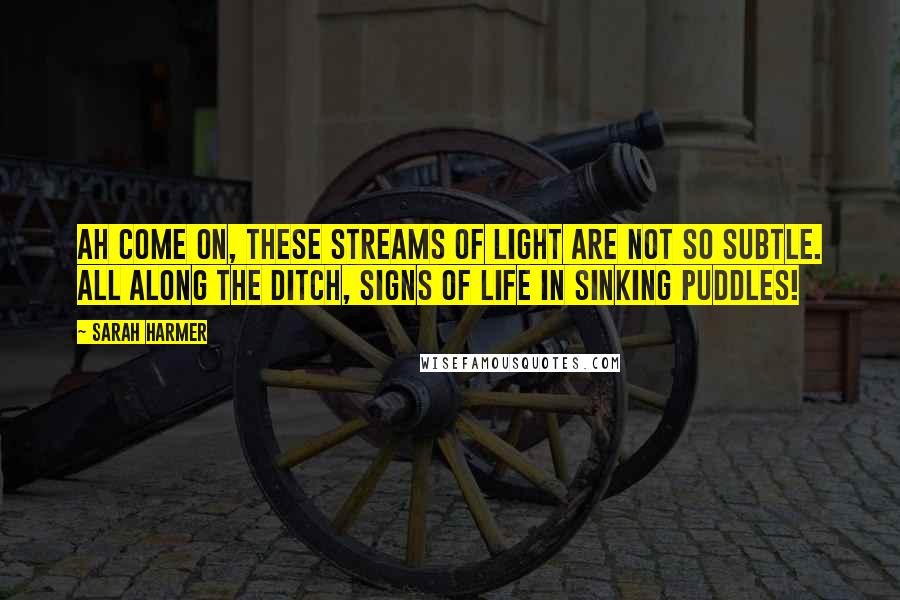 Sarah Harmer Quotes: Ah come on, these streams of light are not so subtle. All along the ditch, signs of life in sinking puddles!