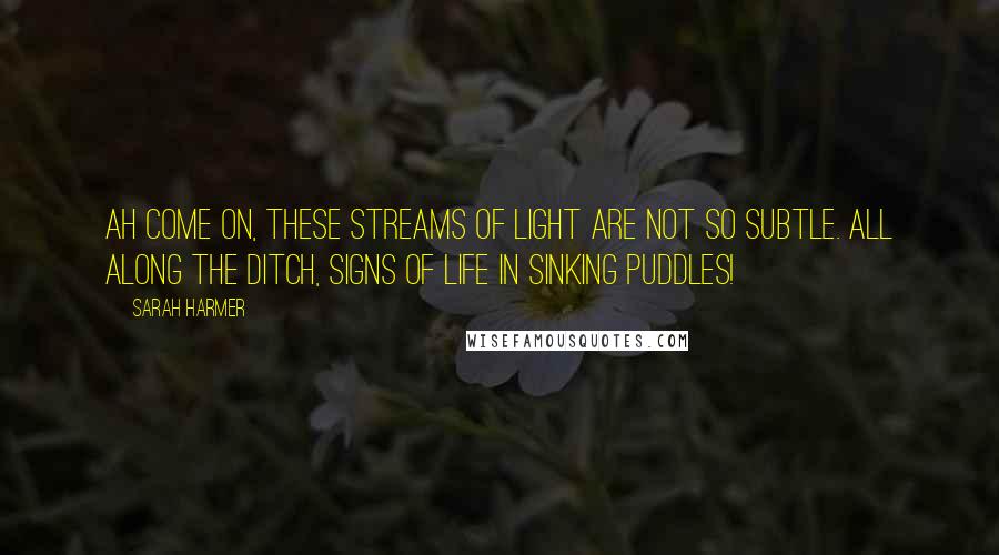 Sarah Harmer Quotes: Ah come on, these streams of light are not so subtle. All along the ditch, signs of life in sinking puddles!