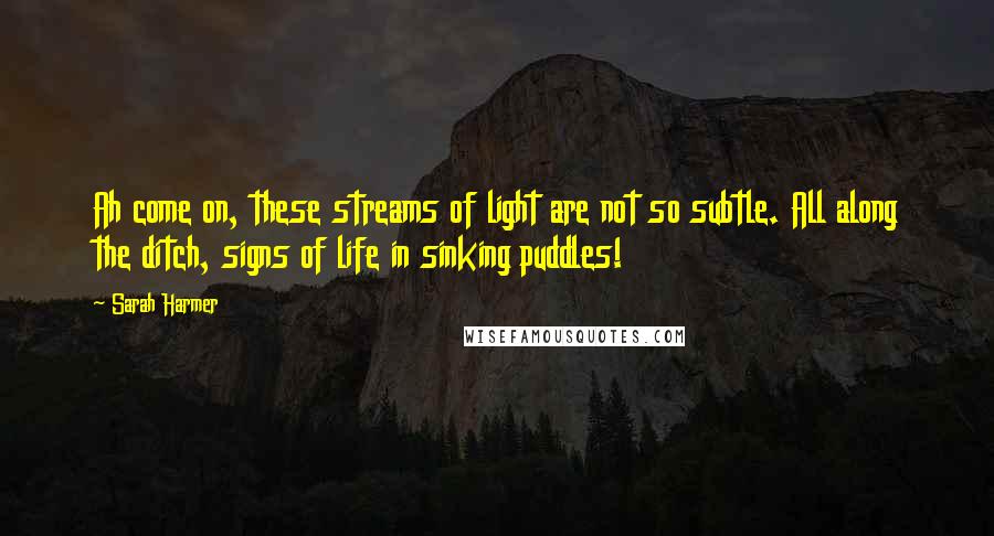 Sarah Harmer Quotes: Ah come on, these streams of light are not so subtle. All along the ditch, signs of life in sinking puddles!