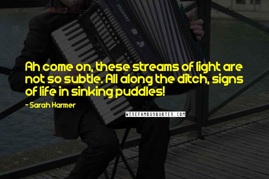 Sarah Harmer Quotes: Ah come on, these streams of light are not so subtle. All along the ditch, signs of life in sinking puddles!