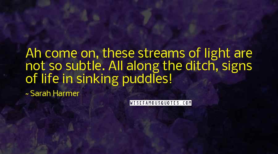 Sarah Harmer Quotes: Ah come on, these streams of light are not so subtle. All along the ditch, signs of life in sinking puddles!