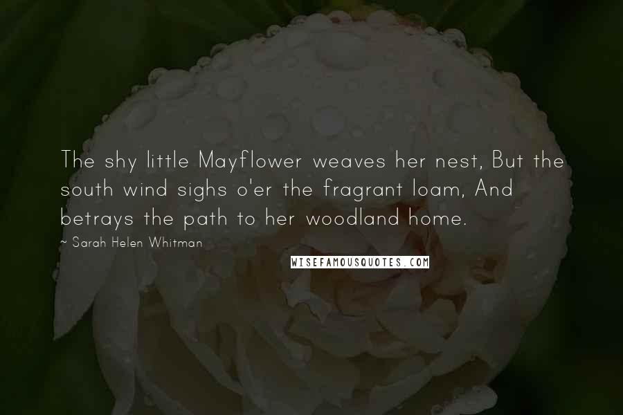 Sarah Helen Whitman Quotes: The shy little Mayflower weaves her nest, But the south wind sighs o'er the fragrant loam, And betrays the path to her woodland home.