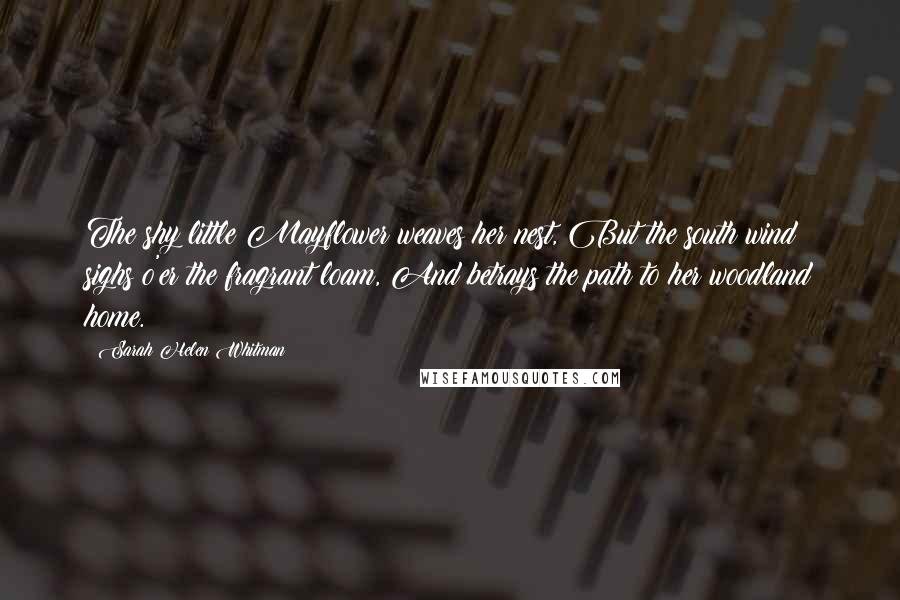 Sarah Helen Whitman Quotes: The shy little Mayflower weaves her nest, But the south wind sighs o'er the fragrant loam, And betrays the path to her woodland home.