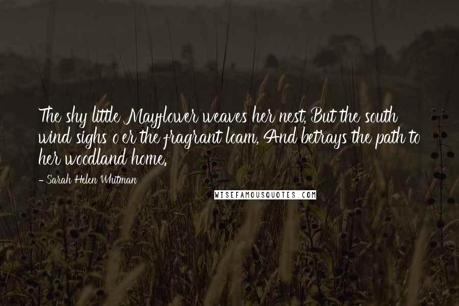 Sarah Helen Whitman Quotes: The shy little Mayflower weaves her nest, But the south wind sighs o'er the fragrant loam, And betrays the path to her woodland home.