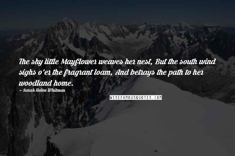 Sarah Helen Whitman Quotes: The shy little Mayflower weaves her nest, But the south wind sighs o'er the fragrant loam, And betrays the path to her woodland home.