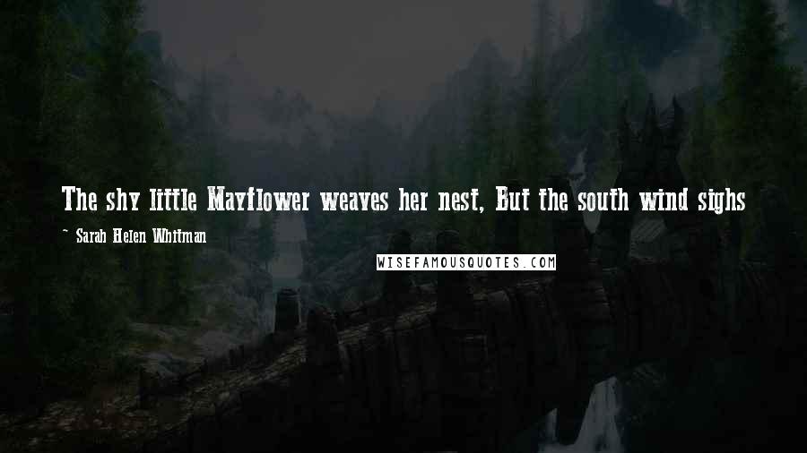 Sarah Helen Whitman Quotes: The shy little Mayflower weaves her nest, But the south wind sighs o'er the fragrant loam, And betrays the path to her woodland home.