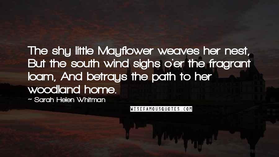 Sarah Helen Whitman Quotes: The shy little Mayflower weaves her nest, But the south wind sighs o'er the fragrant loam, And betrays the path to her woodland home.