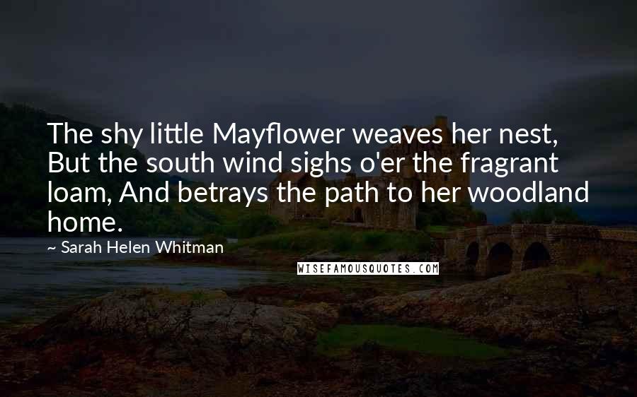 Sarah Helen Whitman Quotes: The shy little Mayflower weaves her nest, But the south wind sighs o'er the fragrant loam, And betrays the path to her woodland home.