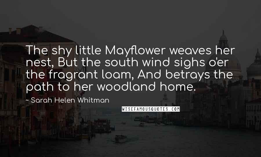 Sarah Helen Whitman Quotes: The shy little Mayflower weaves her nest, But the south wind sighs o'er the fragrant loam, And betrays the path to her woodland home.