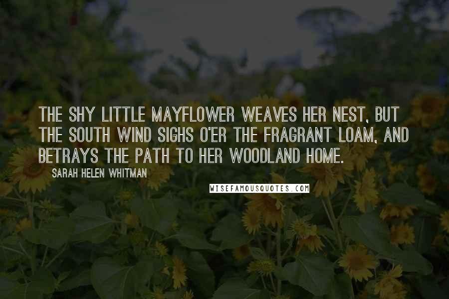Sarah Helen Whitman Quotes: The shy little Mayflower weaves her nest, But the south wind sighs o'er the fragrant loam, And betrays the path to her woodland home.