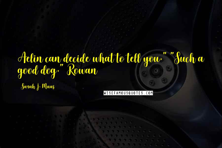 Sarah J. Maas Quotes: Aelin can decide what to tell you." "Such a good dog." Rowan