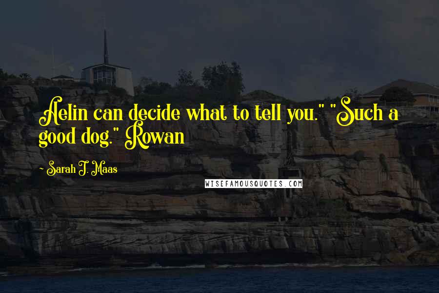 Sarah J. Maas Quotes: Aelin can decide what to tell you." "Such a good dog." Rowan