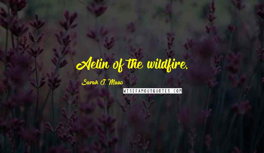 Sarah J. Maas Quotes: Aelin of the wildfire.