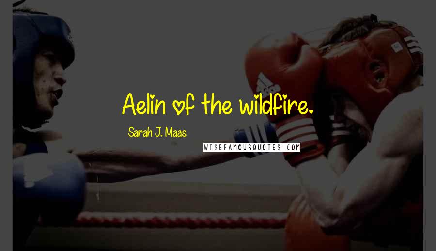 Sarah J. Maas Quotes: Aelin of the wildfire.