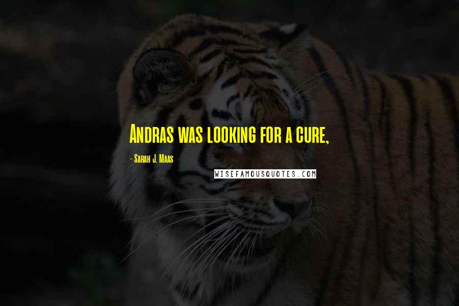 Sarah J. Maas Quotes: Andras was looking for a cure,