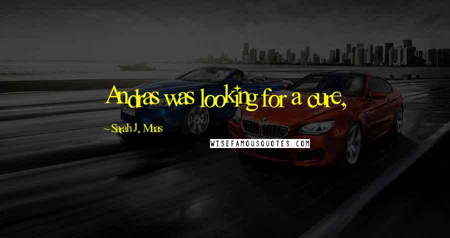 Sarah J. Maas Quotes: Andras was looking for a cure,