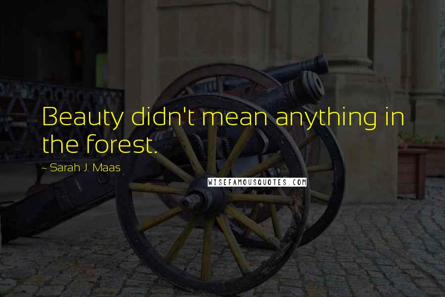 Sarah J. Maas Quotes: Beauty didn't mean anything in the forest.