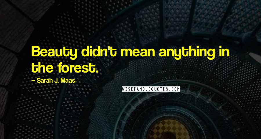 Sarah J. Maas Quotes: Beauty didn't mean anything in the forest.