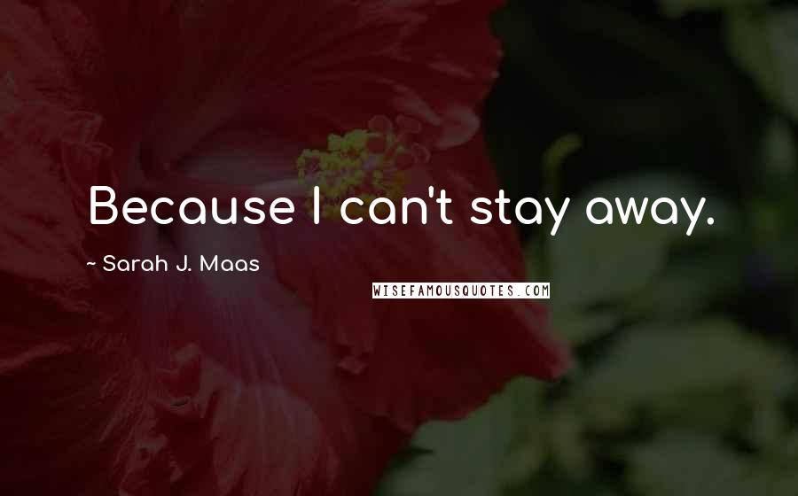 Sarah J. Maas Quotes: Because I can't stay away.
