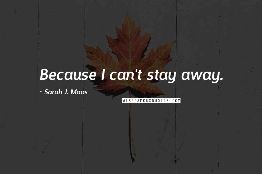 Sarah J. Maas Quotes: Because I can't stay away.