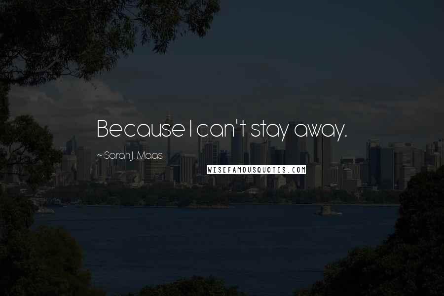 Sarah J. Maas Quotes: Because I can't stay away.