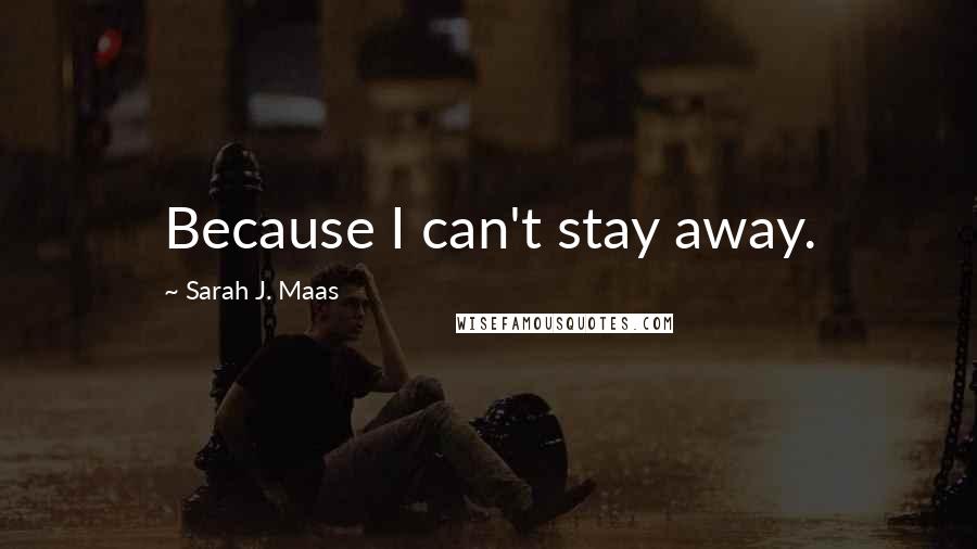 Sarah J. Maas Quotes: Because I can't stay away.