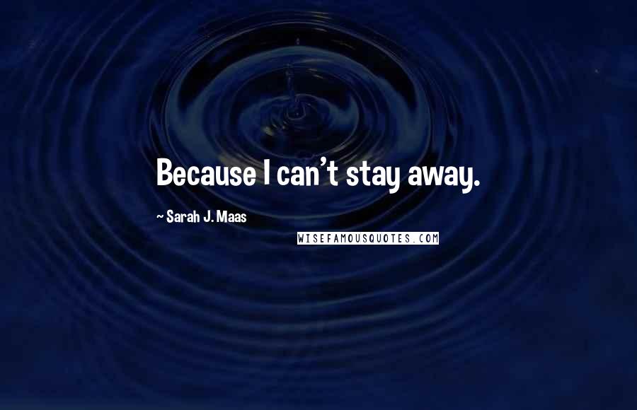 Sarah J. Maas Quotes: Because I can't stay away.