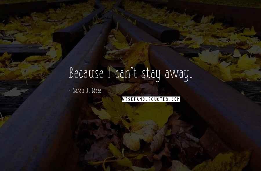 Sarah J. Maas Quotes: Because I can't stay away.
