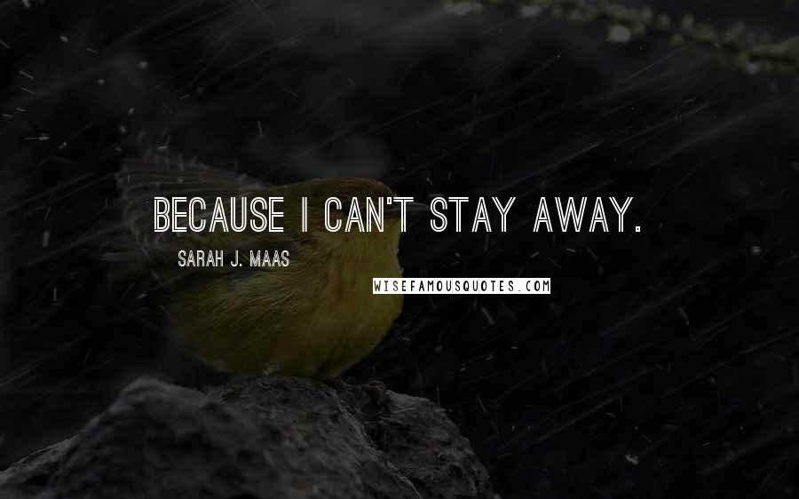 Sarah J. Maas Quotes: Because I can't stay away.