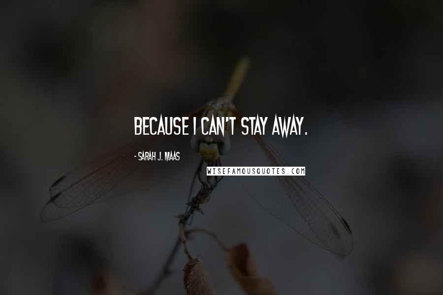 Sarah J. Maas Quotes: Because I can't stay away.
