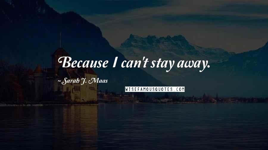 Sarah J. Maas Quotes: Because I can't stay away.