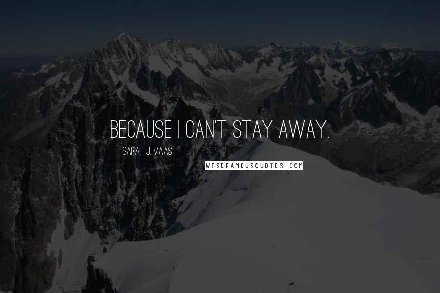Sarah J. Maas Quotes: Because I can't stay away.