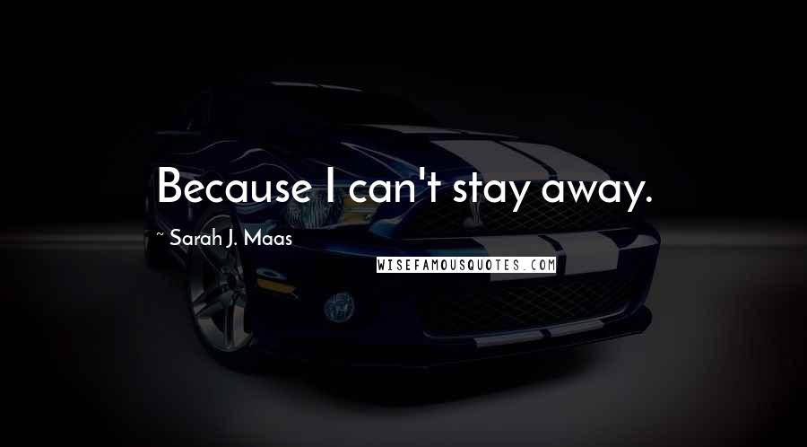 Sarah J. Maas Quotes: Because I can't stay away.
