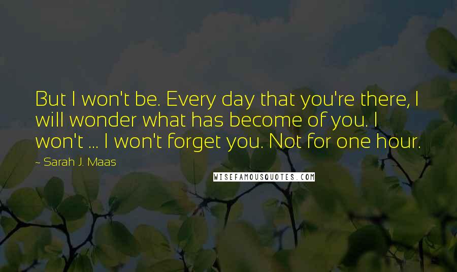 Sarah J. Maas Quotes: But I won't be. Every day that you're there, I will wonder what has become of you. I won't ... I won't forget you. Not for one hour.