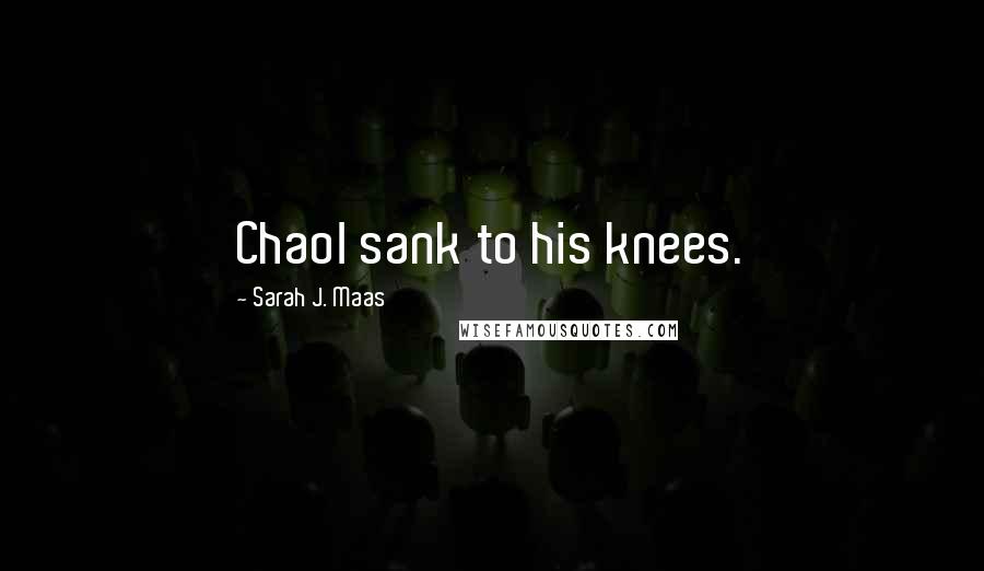 Sarah J. Maas Quotes: Chaol sank to his knees.