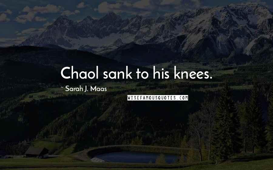 Sarah J. Maas Quotes: Chaol sank to his knees.