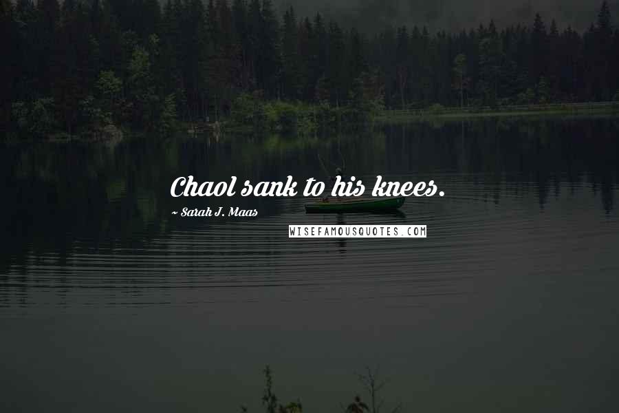 Sarah J. Maas Quotes: Chaol sank to his knees.