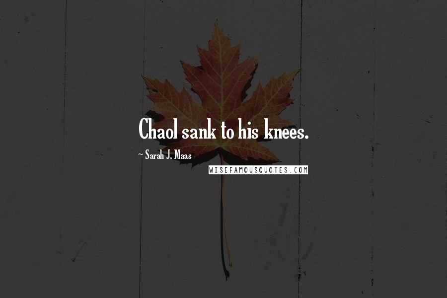 Sarah J. Maas Quotes: Chaol sank to his knees.