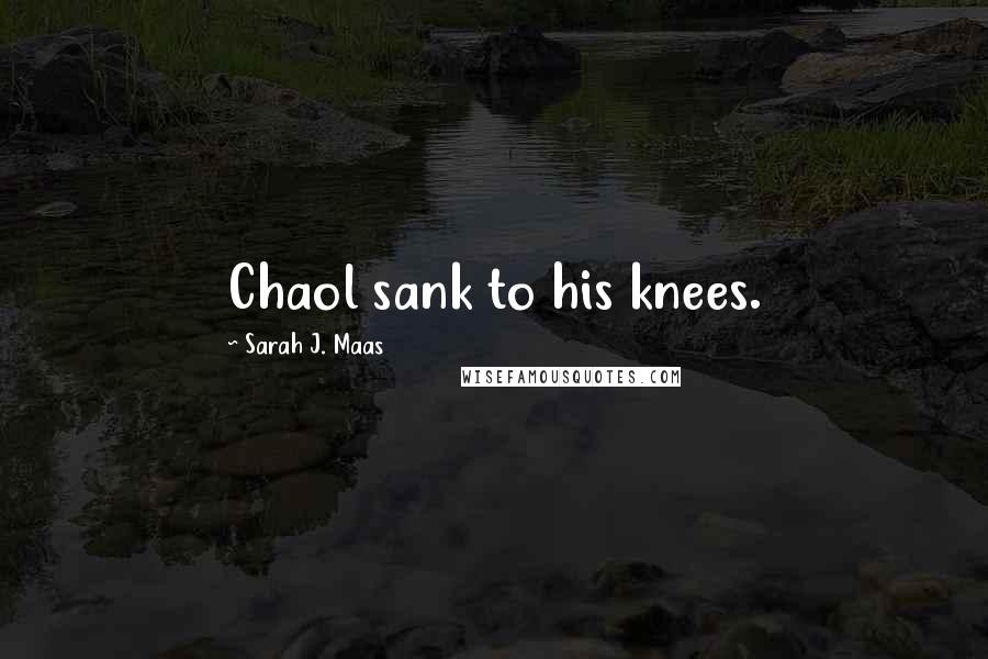 Sarah J. Maas Quotes: Chaol sank to his knees.