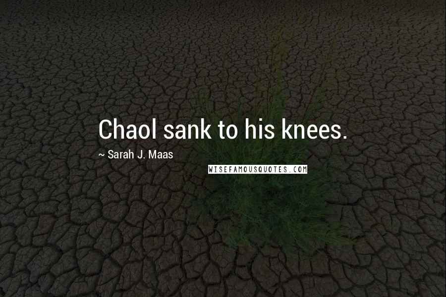 Sarah J. Maas Quotes: Chaol sank to his knees.