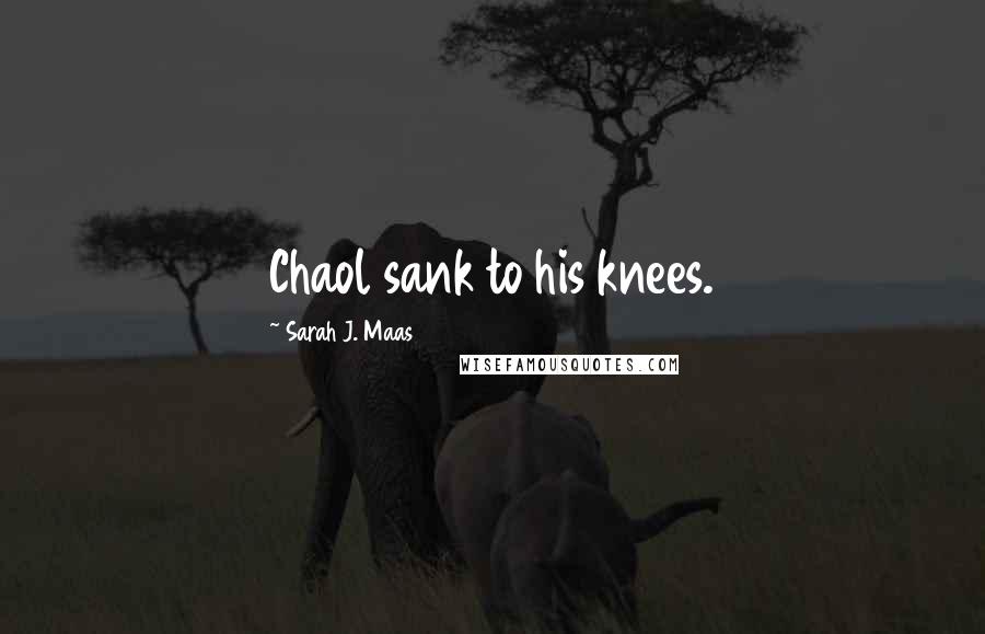 Sarah J. Maas Quotes: Chaol sank to his knees.