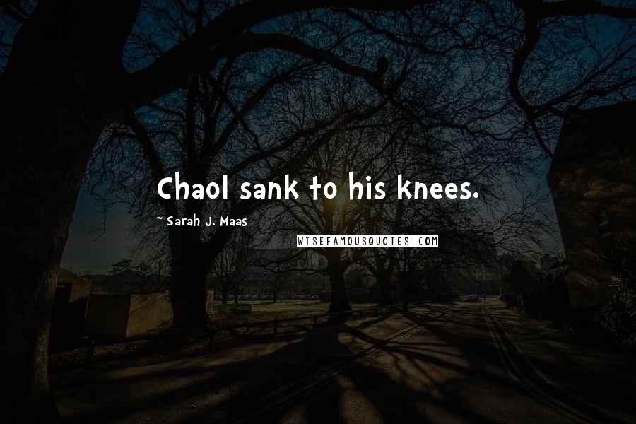 Sarah J. Maas Quotes: Chaol sank to his knees.