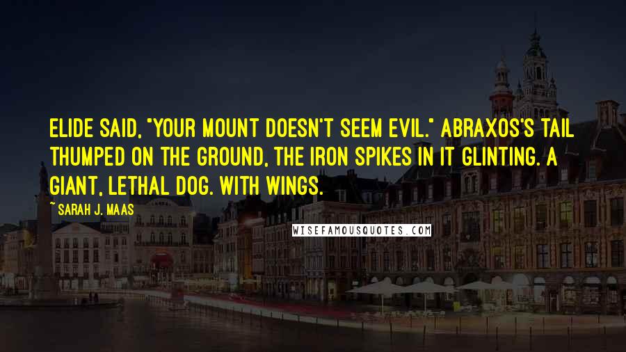 Sarah J. Maas Quotes: Elide said, "Your mount doesn't seem evil." Abraxos's tail thumped on the ground, the iron spikes in it glinting. A giant, lethal dog. With wings.